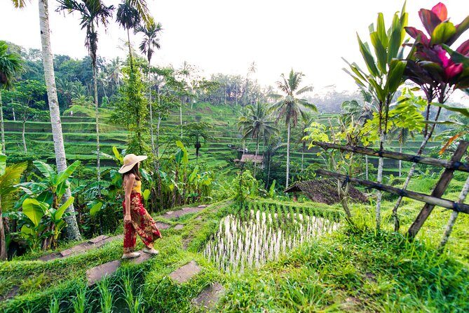Ubud Iconic Full Day Tour Monkey Forest Rice Terraces Waterfalls - Ubud highlights in one long, well-paced day