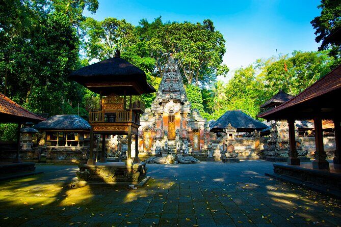 Ubud Iconic Full Day Tour Monkey Forest Rice Terraces Waterfalls - Who this Ubud Iconic day tour fits best