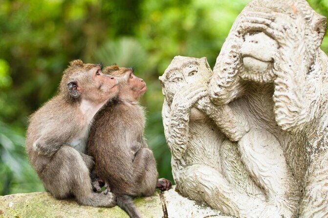 Ubud Private Tour : Choice Your Own Trip - Key points that matter before you go