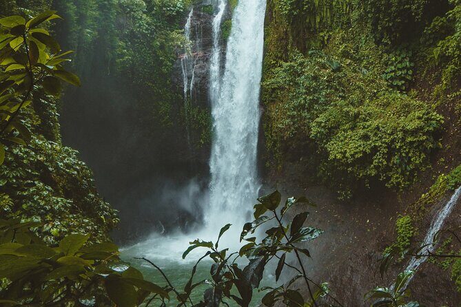 Ubud private tours - Goa Raja Waterfall: a forest walk that ends at a dramatic pool