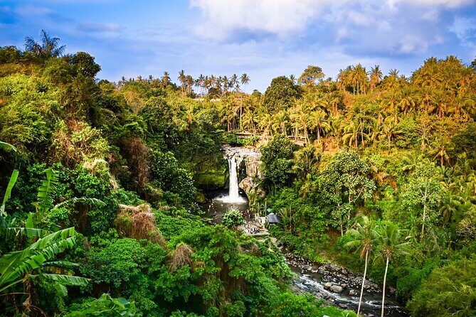 Ubud private tours - Timing on the ground: 6–8 hours of moving, with real variation