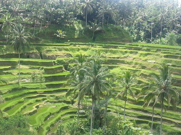 Ubud Tegalalang Rice Teracce & Tanah Lot Tour - Morning start: batik and the art of Legong Fine Art