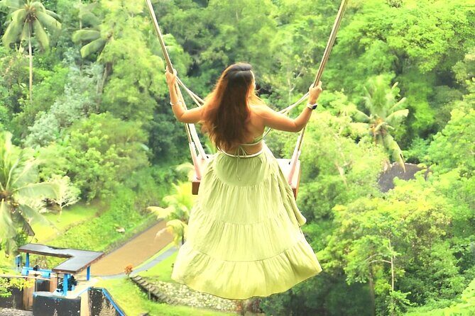 Ubud Tour with Jungle Swing and Waterfall Water Temple - Pickup to Ubud: why private AC matters for an 8–10 hour day