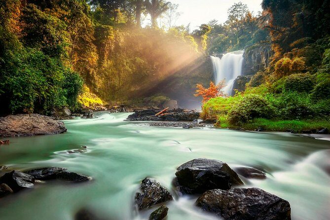 Ubud Village Sightseeing, Famous Paddy Field And Ubud Waterfall - Pulina Bali coffee plantation and the coffee-powder making demo