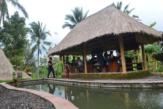 Ubud Village Sightseeing, Famous Paddy Field And Ubud Waterfall - Price and value: what $45 buys on a private day