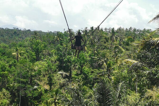 Ubud Village, Tegalalang Rice Terrace Swing, Tirta Empul Temple and Waterfafall - Getting There From Seminyak: The Value of Pickup and AC