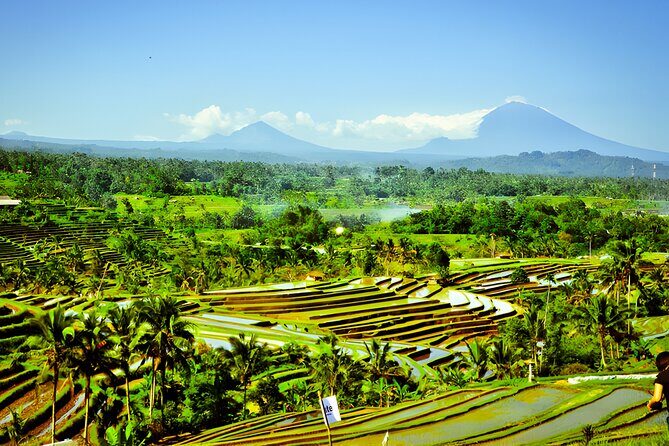 UNESCO Jatiluwih Rice Terrace and Tanah Lot Sunset Tour - Tanah Lot Temple at sunset: an ancient shrine on a sea outcrop