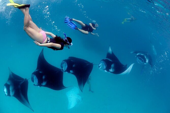 VIP Private Boat to Nusa Penida: Snorkeling with Mantas + Land Tour Adventure - The in-between Nusa Penida stops: Gamat Bay and Wall Bay Point