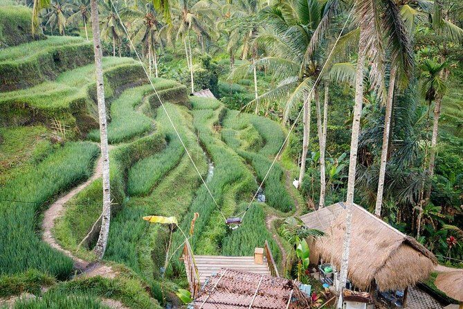 Water Rafting adventure with Jungle Swing & rice terraces - Ayung River whitewater plus Jungle Swing: the real vibe