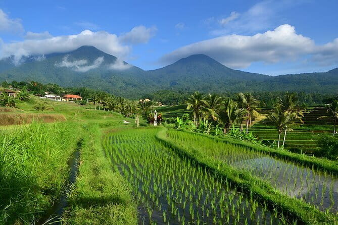 Waterfall Tour: North Bali Best Waterfalls - Timing, Timing, Timing: Getting Good Shots Without Wasting Time