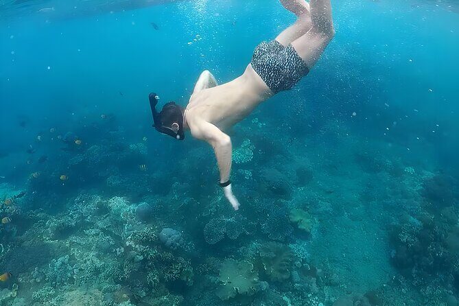 West Nusa Penida Island Snorkeling Tour - From Bali Island - 6:30am Pickup From Seminyak (and Around Bali) Makes or Breaks the Day