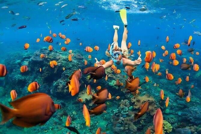 West Nusa Penida Island Snorkeling Tour - From Bali Island - Snorkeling Plan: Gamat Bay, Manta Bay, and Crystal Bay
